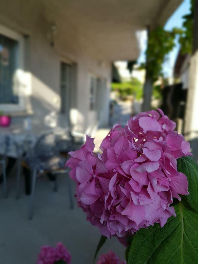 Apartment Luna Trogir Zewnętrze zdjęcie